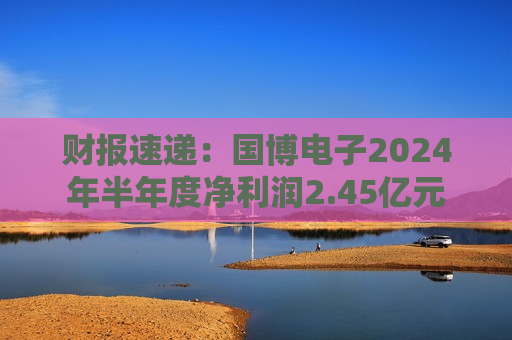 财报速递：国博电子2024年半年度净利润2.45亿元  第1张