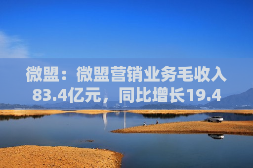 微盟：微盟营销业务毛收入83.4亿元，同比增长19.4%，其中视频号广告增长72%  第1张