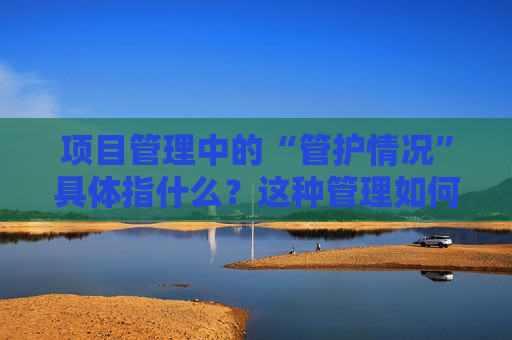 项目管理中的“管护情况”具体指什么？这种管理如何确保项目的顺利进行？