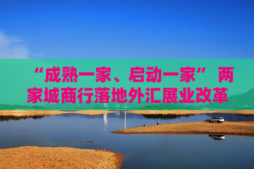 “成熟一家、启动一家” 两家城商行落地外汇展业改革试点