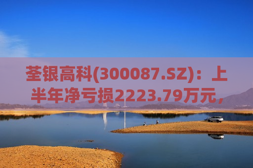 荃银高科(300087.SZ)：上半年净亏损2223.79万元，同比盈转亏