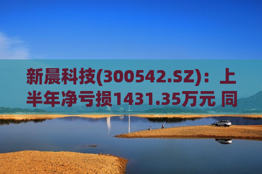 新晨科技(300542.SZ)：上半年净亏损1431.35万元 同比盈转亏  第1张