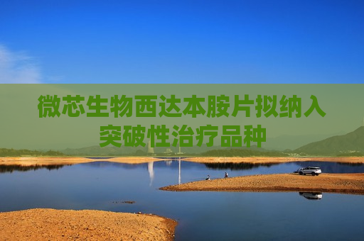 微芯生物西达本胺片拟纳入突破性治疗品种