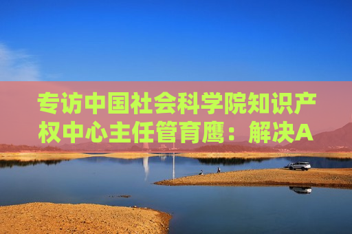 专访中国社会科学院知识产权中心主任管育鹰：解决AI著作权争议，可考虑设计喂料端的版权内容使用侵权例外规则  第1张