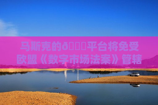 马斯克的𝕏平台将免受欧盟《数字市场法案》管辖，因其“规模还不够大”