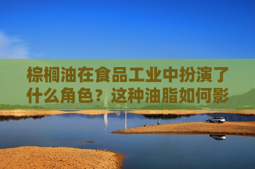 棕榈油在食品工业中扮演了什么角色？这种油脂如何影响产品品质？