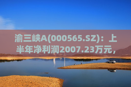 渝三峡A(000565.SZ)：上半年净利润2007.23万元，同比扭亏为盈