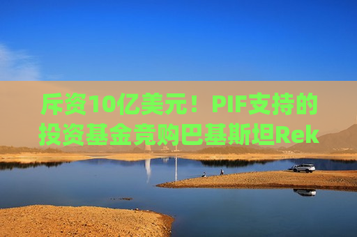 斥资10亿美元！PIF支持的投资基金竞购巴基斯坦Reko Diq矿业项目15%股权