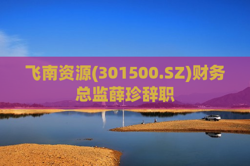 飞南资源(301500.SZ)财务总监薛珍辞职