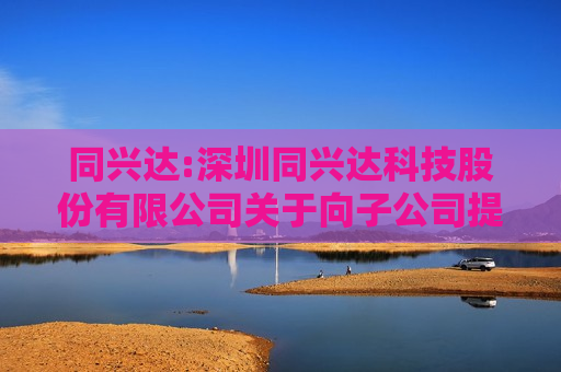 同兴达:深圳同兴达科技股份有限公司关于向子公司提供担保的进展公告