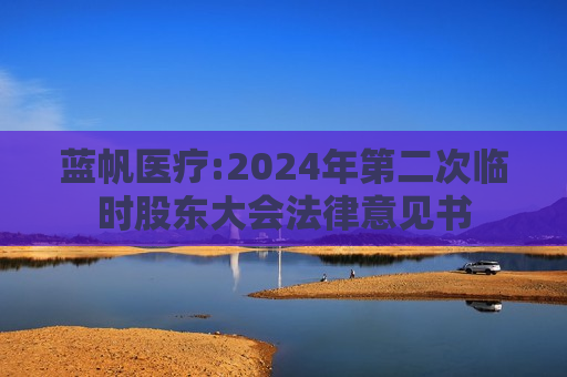 蓝帆医疗:2024年第二次临时股东大会法律意见书  第1张