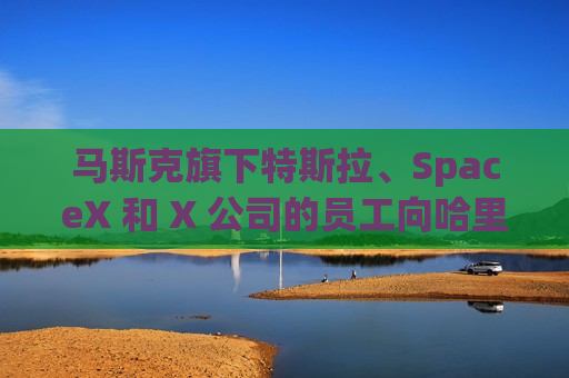 马斯克旗下特斯拉、SpaceX 和 X 公司的员工向哈里斯捐款 而他本人支持特朗普