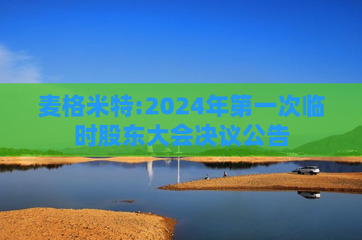 麦格米特:2024年之一次临时股东大会决议公告