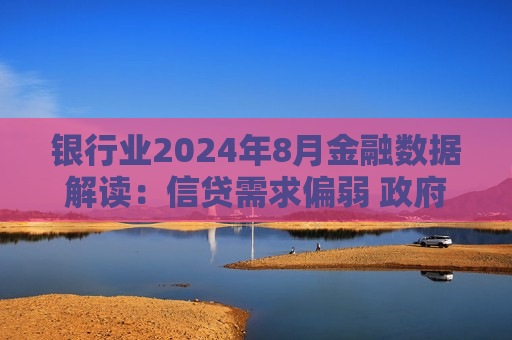 银行业2024年8月金融数据解读：信贷需求偏弱  *** 债支撑社融