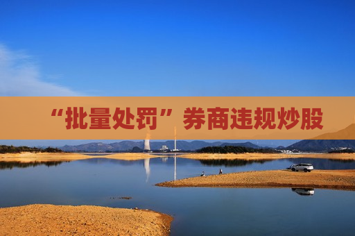 “批量处罚”券商违规炒股