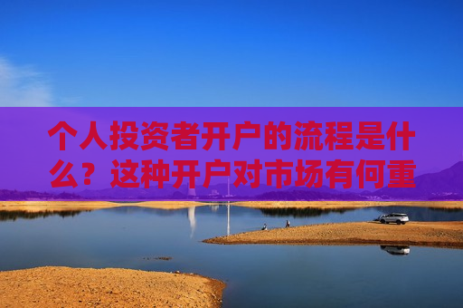 个人投资者开户的流程是什么？这种开户对市场有何重要性？  第1张