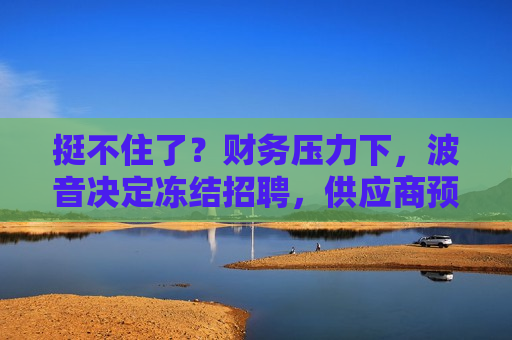挺不住了？财务压力下，波音决定冻结 *** ，供应商预算大砍