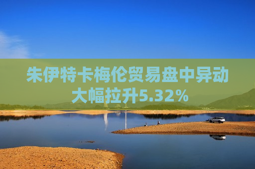 朱伊特卡梅伦贸易盘中异动 大幅拉升5.32%  第1张