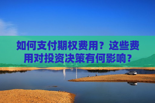 如何支付期权费用？这些费用对投资决策有何影响？  第1张