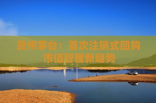贵州茅台：首次注销式回购 市值管理新趋势