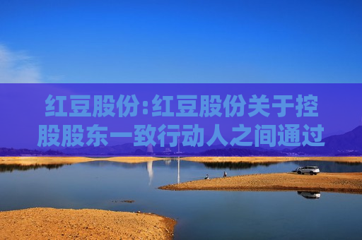 红豆股份:红豆股份关于控股股东一致行动人之间通过大宗交易内部 *** 股份计划的提示性公告