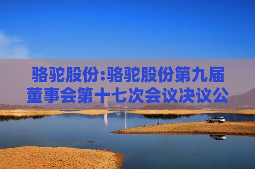 骆驼股份:骆驼股份第九届董事会第十七次会议决议公告