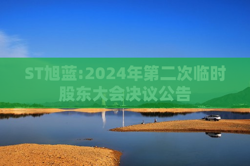 ST旭蓝:2024年第二次临时股东大会决议公告