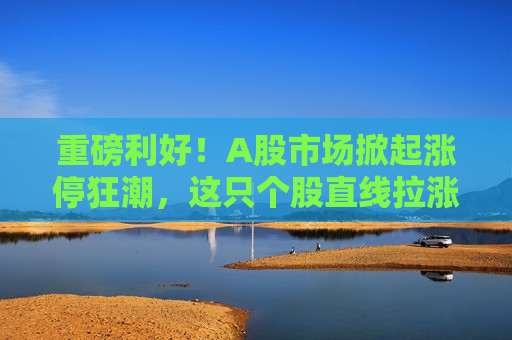 重磅利好！A股市场掀起涨停狂潮，这只个股直线拉涨停，投资者迎来狂欢时刻，A股市场掀起涨停狂潮，个股直线拉涨停引投资者狂欢，A股市场掀起涨停狂潮，个股直线拉涨停引投资者狂欢时刻