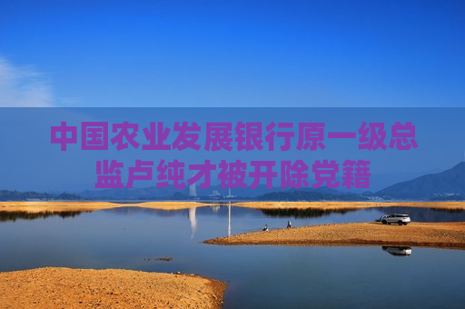 中国农业发展银行原一级总监卢纯才被开除党籍