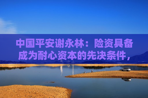 中国平安谢永林：险资具备成为耐心资本的先决条件，仍需行业改革创新提升长期投资质效  第1张