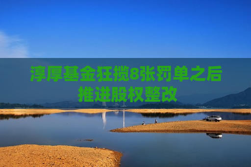 淳厚基金狂揽8张罚单之后 推进股权整改