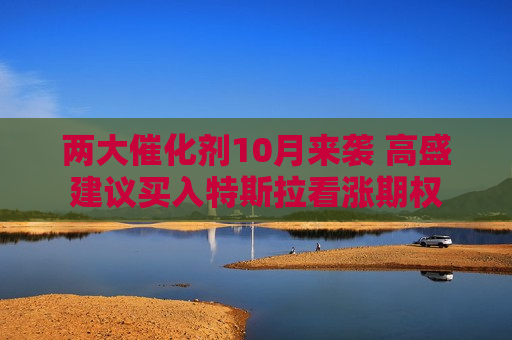 两大催化剂10月来袭 高盛建议买入特斯拉看涨期权