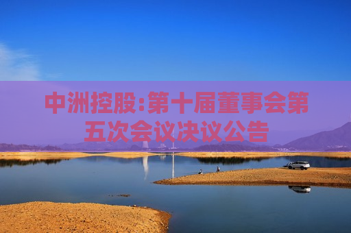 中洲控股:第十届董事会第五次会议决议公告
