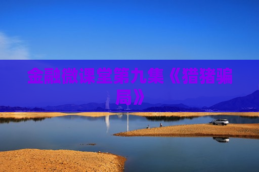 金融微课堂第九集《猎猪骗局》  第1张