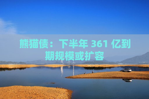 熊猫债：下半年 361 亿到期规模或扩容