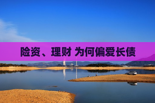 险资、理财 为何偏爱长债