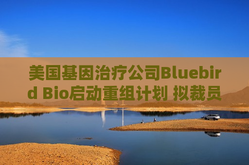 美国基因治疗公司Bluebird Bio启动重组计划 拟裁员25%