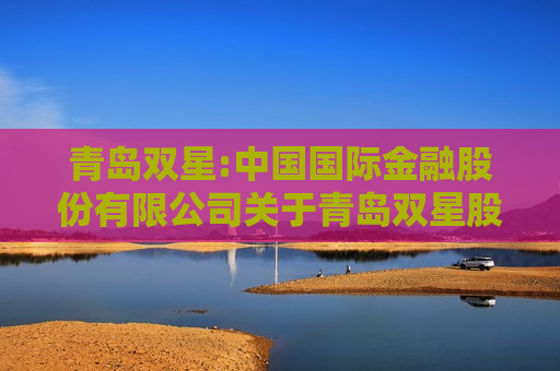 青岛双星:中国国际金融股份有限公司关于青岛双星股份有限公司发行股份及支付现金购买资产并募集配套资金暨关联交易之独立财务顾问报告