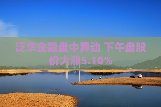 泛华金融盘中异动 下午盘股价大涨5.10%