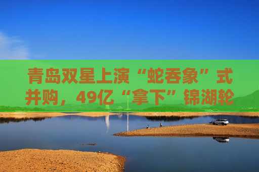 青岛双星上演“蛇吞象”式并购，49亿“拿下”锦湖轮胎为自救？