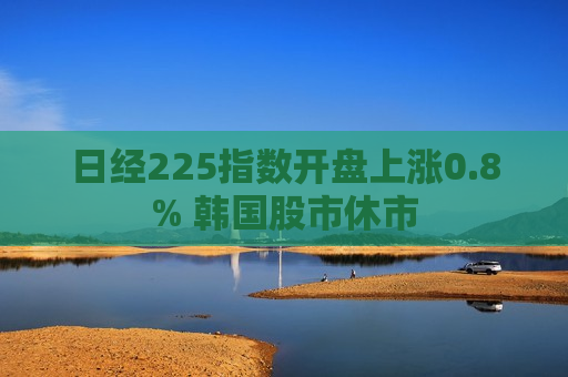 日经225指数开盘上涨0.8% 韩国股市休市