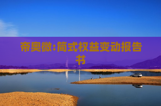 帝奥微:简式权益变动报告书
