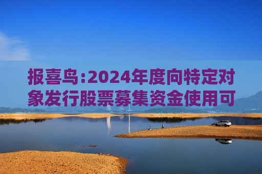 报喜鸟:2024年度向特定对象发行股票募集资金使用可行性分析报告  第1张