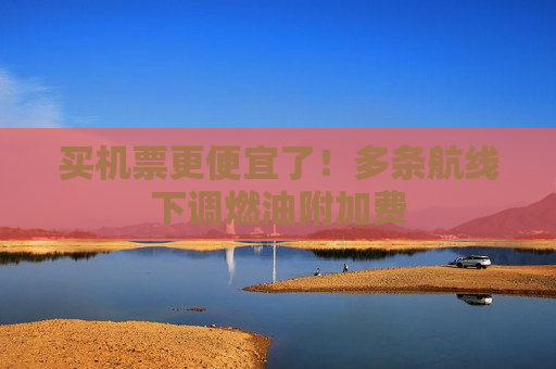 买机票更便宜了！多条航线下调燃油附加费