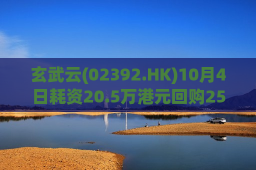 玄武云(02392.HK)10月4日耗资20.5万港元回购25.6万股  第1张