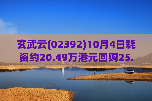 玄武云(02392)10月4日耗资约20.49万港元回购25.6万股