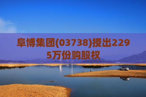 阜博集团(03738)授出2295万份购股权