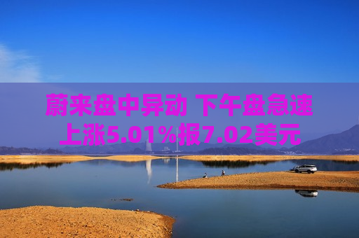 蔚来盘中异动 下午盘急速上涨5.01%报7.02美元