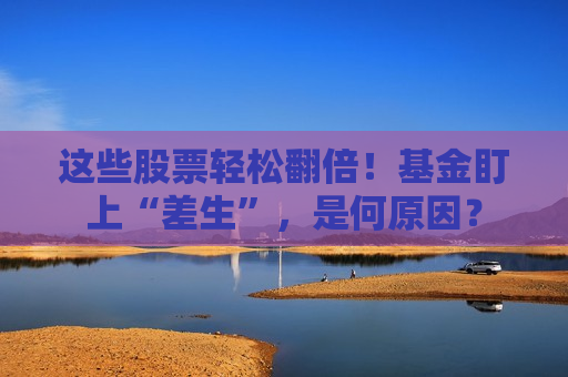 这些股票轻松翻倍！基金盯上“差生”，是何原因？