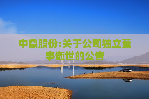 中鼎股份:关于公司独立董事逝世的公告